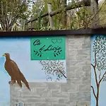 Ca' D Licio - Attico * Polinago